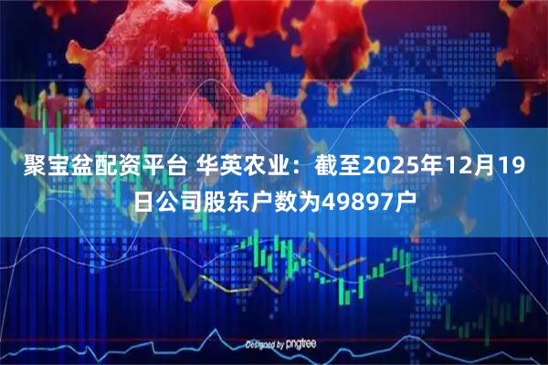 聚宝盆配资平台 华英农业：截至2025年12月19日公司股东户数为49897户