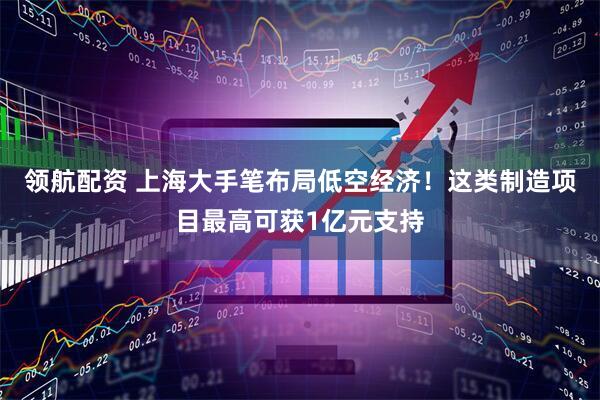 领航配资 上海大手笔布局低空经济！这类制造项目最高可获1亿元支持