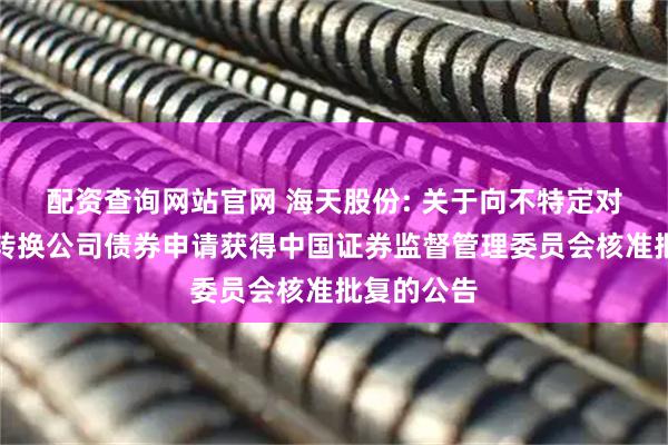 配资查询网站官网 海天股份: 关于向不特定对象发行可转换公司债券申请获得中国证券监督管理委员会核准批复的公告